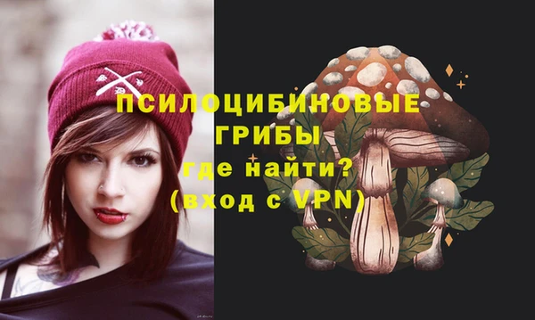 дмт Арсеньев