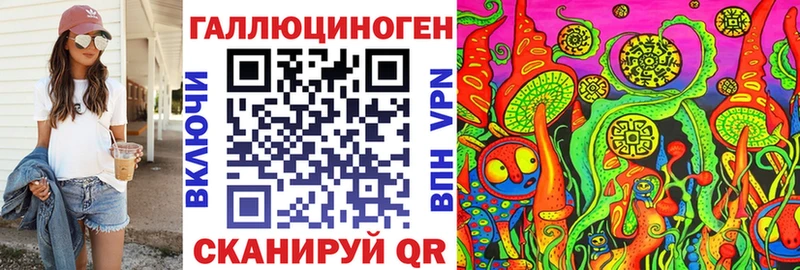 Галлюциногенные грибы Psilocybine cubensis  где можно купить   Строитель 